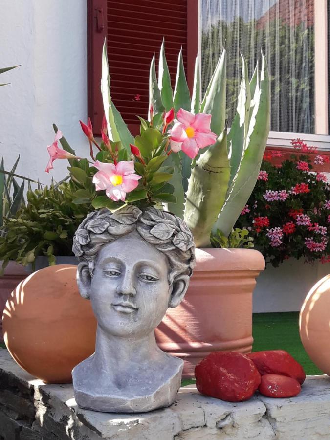 דירות בודנסדורף Haus Thon מראה חיצוני תמונה